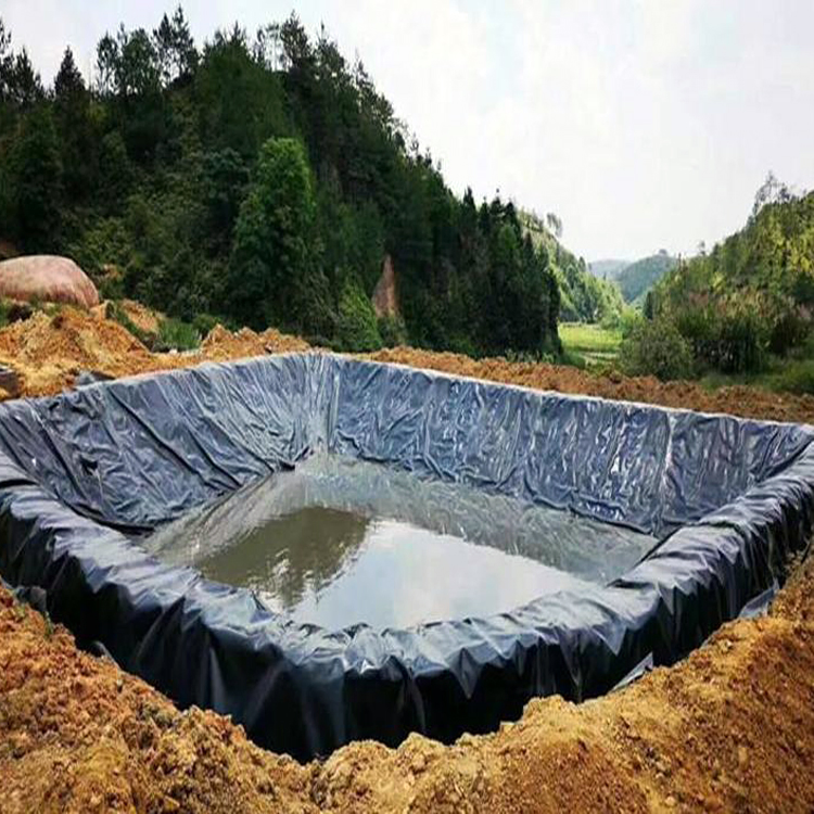 1mm Fish Pond Liners HDPE PVC LLDPE LDPE Geomembranes for Dam and Landfill Application