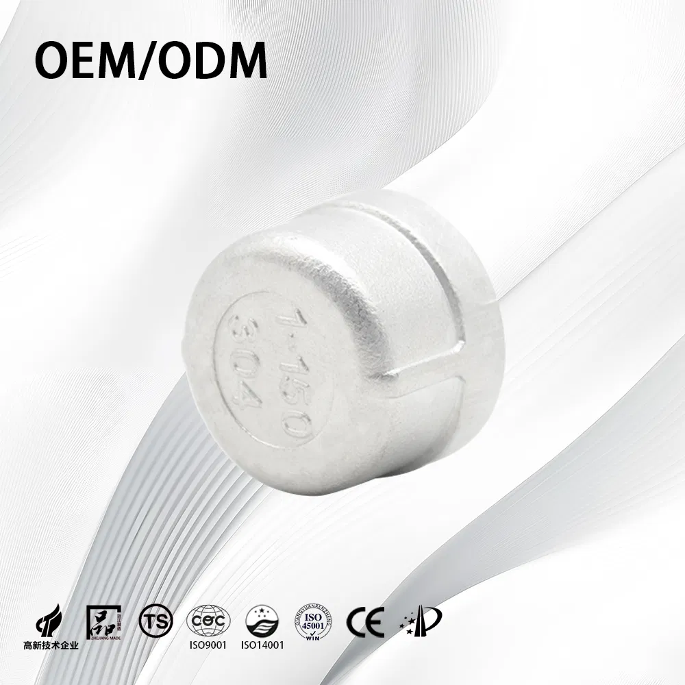 Stainless Steel Customize ANSI B16.9 Threaded Tube End Cap with Sand Rolling