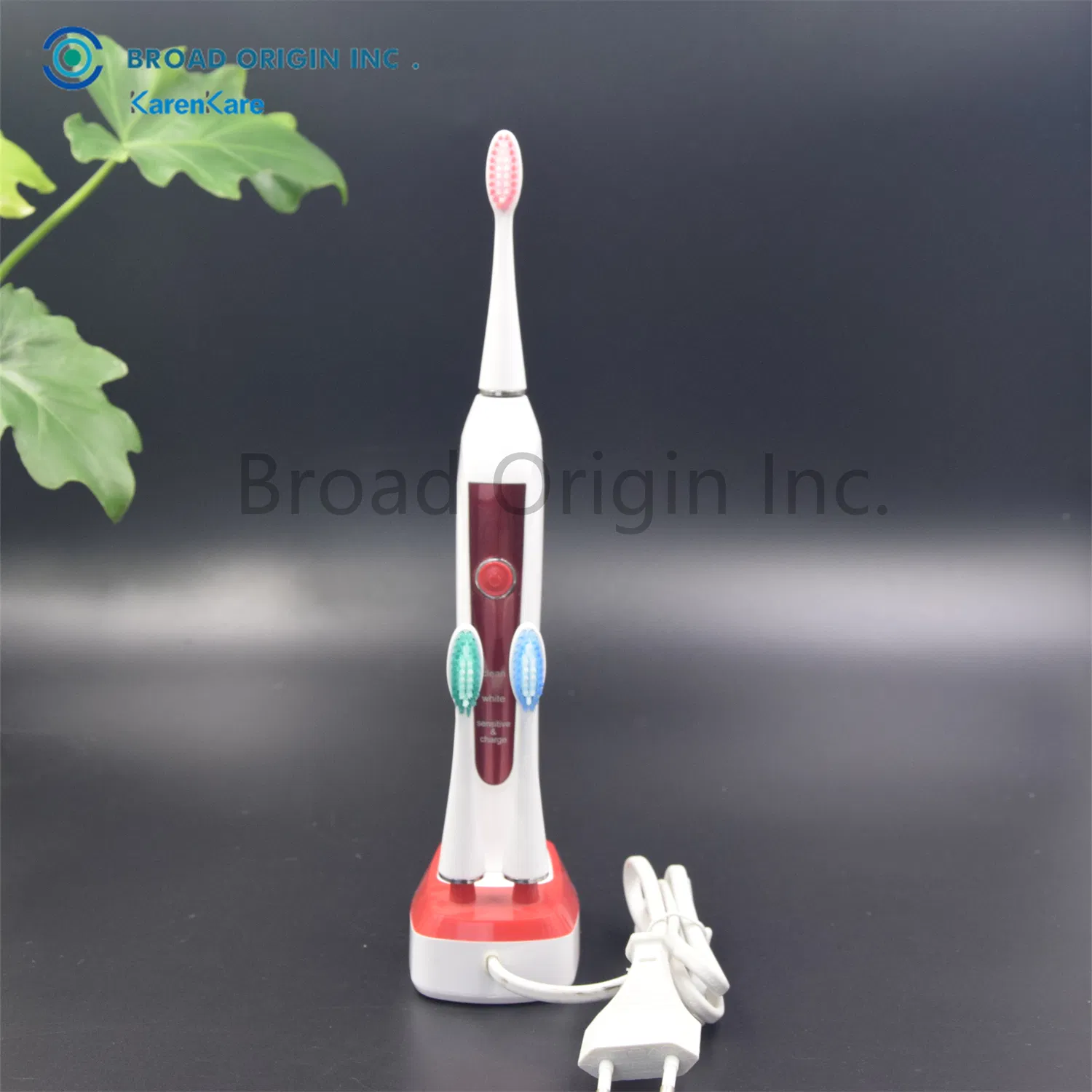 Private Label Tooth Brush LED Teeth Whitening Electric Toothbrush