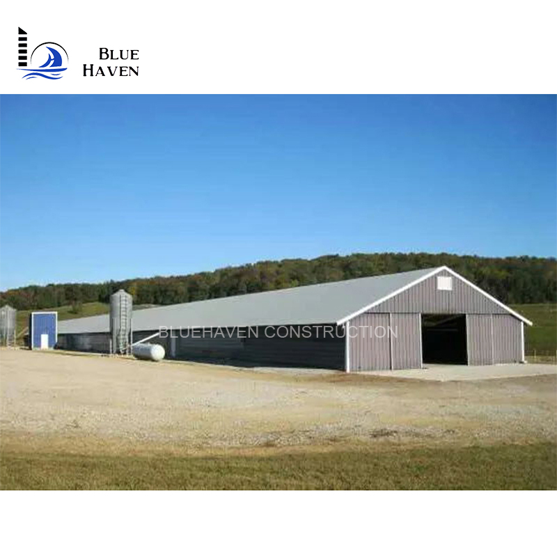 Light Steel Construction Storage Shed Breeding Chicken Coop