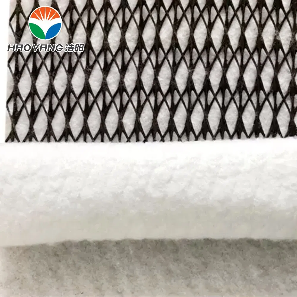 Fast Construction and Installation, HDPE Composite Geonet Be Used in Landfill Drainage