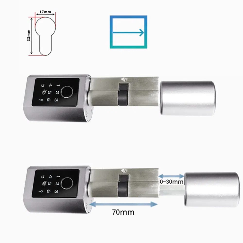 Euro Door Lock Easy Installation Digital Keypad Tuya APP Smart Cylinder for Card Key Unlocking
