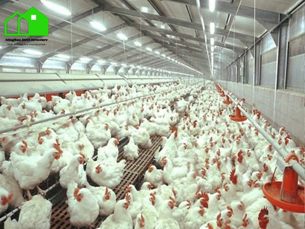 Durable Prefab Steel Structure Poultry Farming Commercial Chicken House