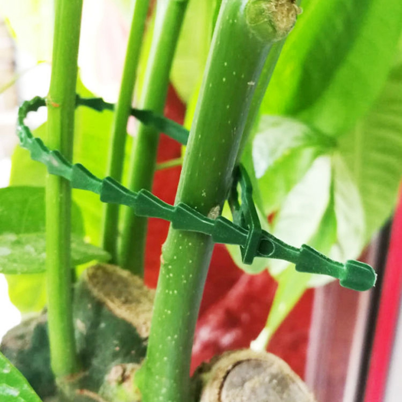30/50/100/200PCS Reusable Garden Cable Ties Plant Support Shrubs Fastener Tree Locking Nylon Adjustable Plastic Cable Ties