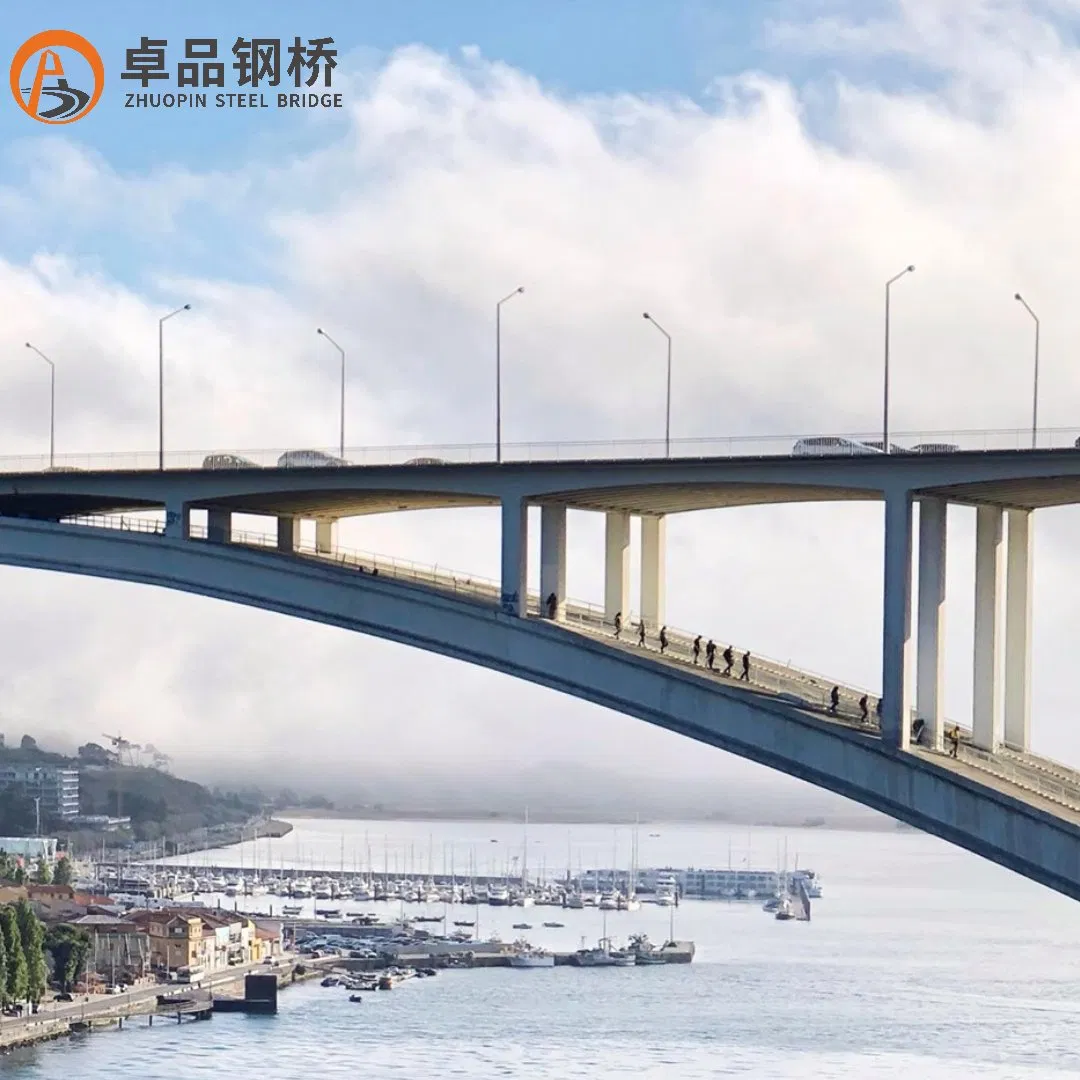 Sustainable Galvanized Steel Bridge Construction / Steel Structure