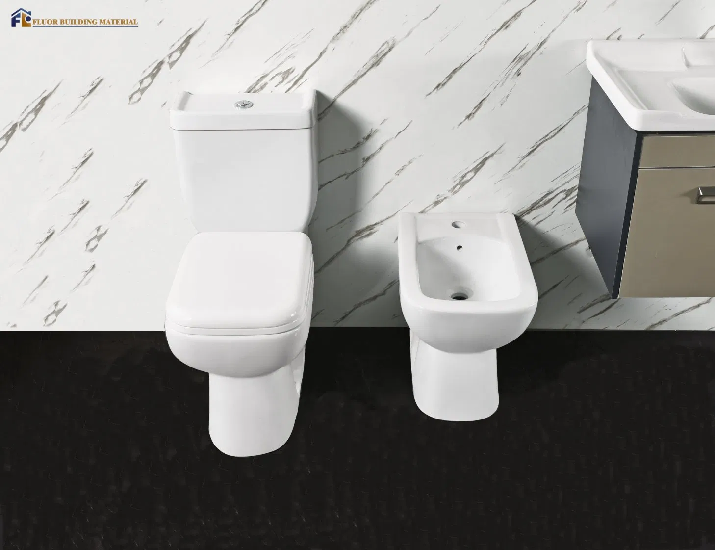 Premium Fluor Toilet and Bidet Combo for Stylish Restrooms