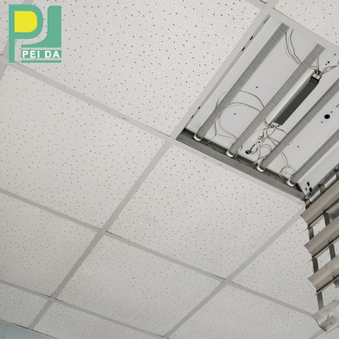 Luxury Style Easy Installation Acoustic False Ceiling for Office Building