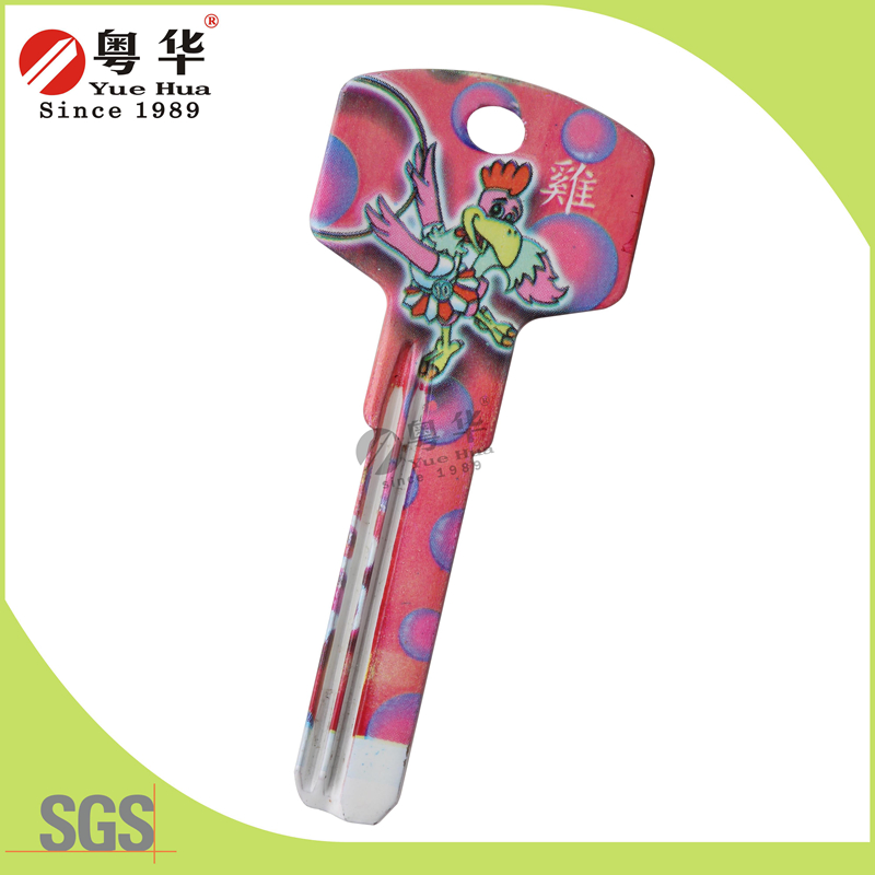Mini 3D Animal Painted Color Remote Key Blanks for Locksmith
