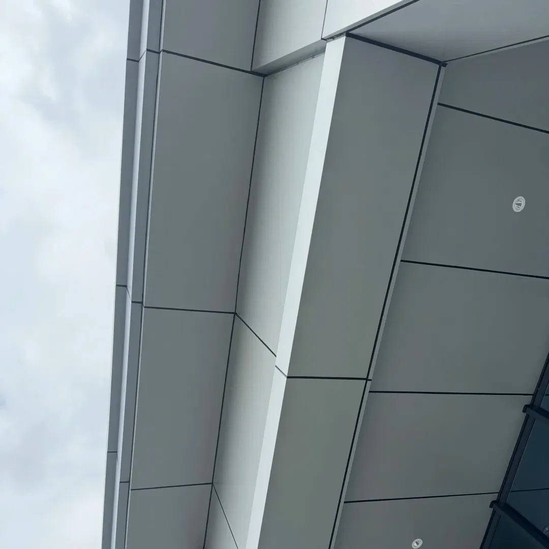 Unique Customized Aluminum Ceiling - Choose Between Plain and Perforated