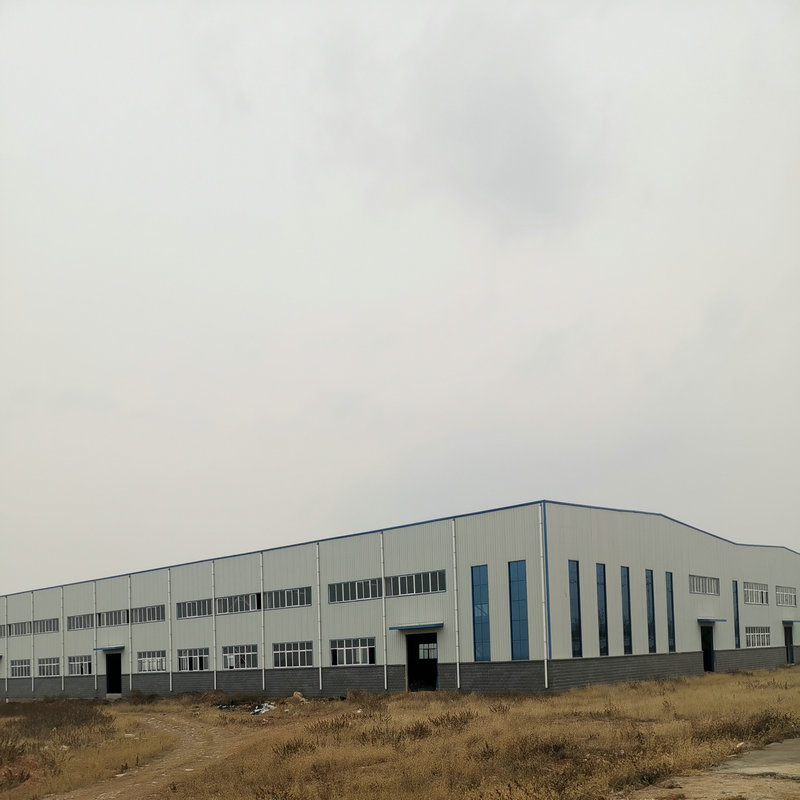 Prefab Building Steel Structures Houses for Sandwich Panel Steel Structure Workshop