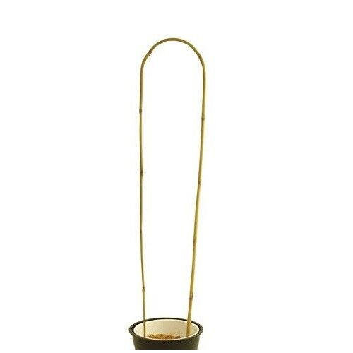 Bamboo Cane Plant Pot Trellis Fan Garden Flower Support Frame