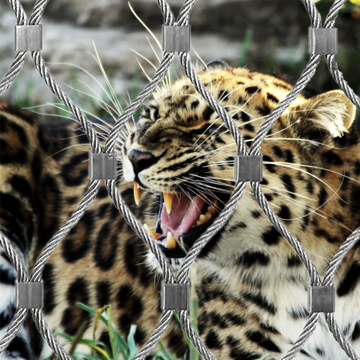 Flexible Strong Strength Stainless Steel Rope Mesh Netting Hand-Woven SS304 Wire Rope Mesh for Sale