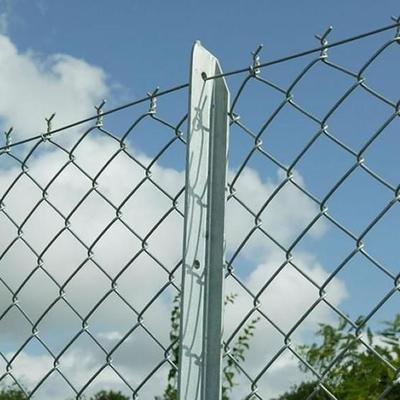 Customized Direct Factory Sale Galvanized PVC Coated Chain Link Fence