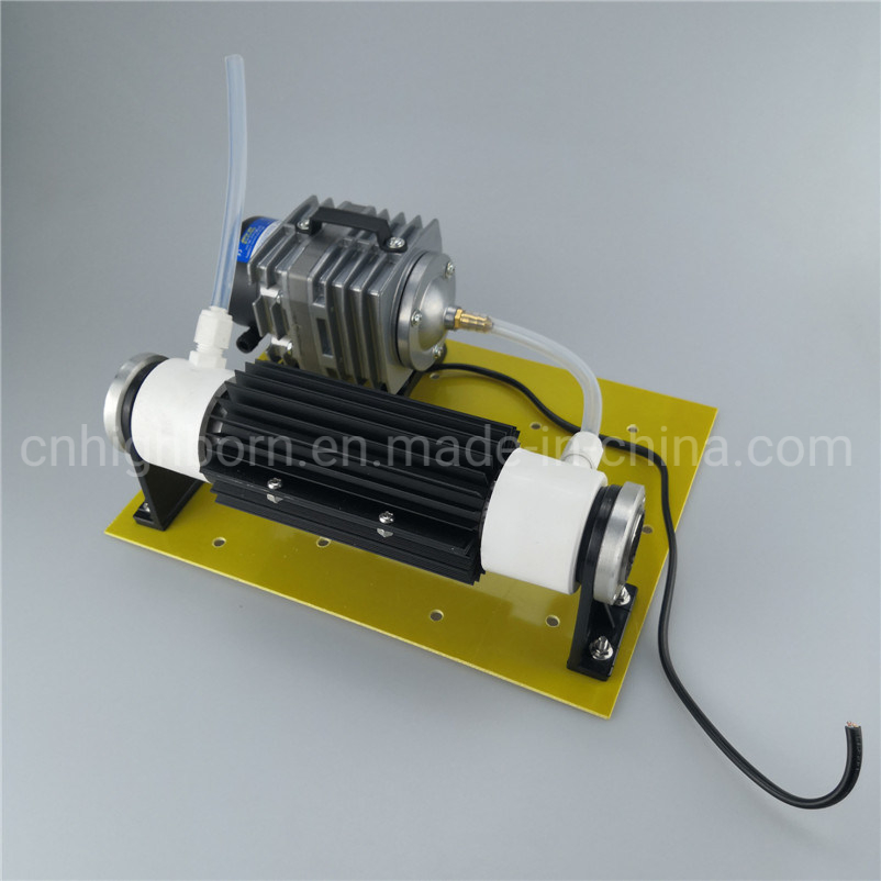 Power Supply Adjustable 110V 220V 10g/H Quartz Tube Ozone Water Purifier O3 Generator Module