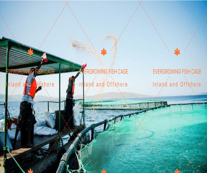 Плавучая садковая рыбоводческая клетка из HDPE