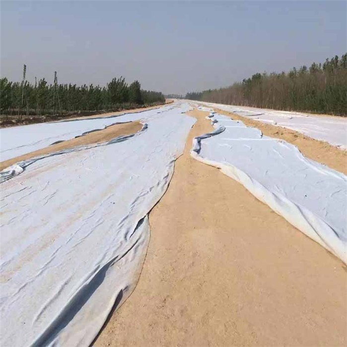 Non Woven Fabric/ Ground Cover Fabric /Road Construction Geotextile for Agriculture Geotextile Price Geotextile