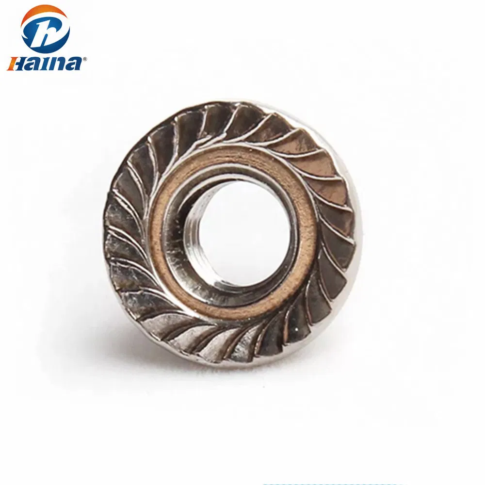Stainless Steel / Nylon Steel Flange Nut, Nylon Nut, Cap Nut, Wing Nut