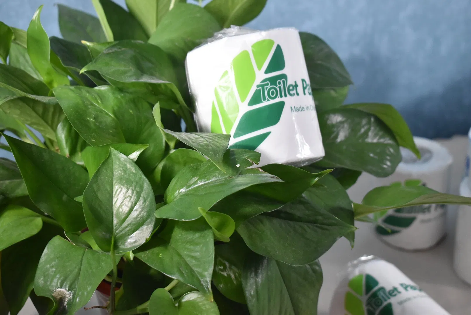 Free Sample Wholesale 3 Layer Printed Cheap High Quality Toilet Paper Tissue