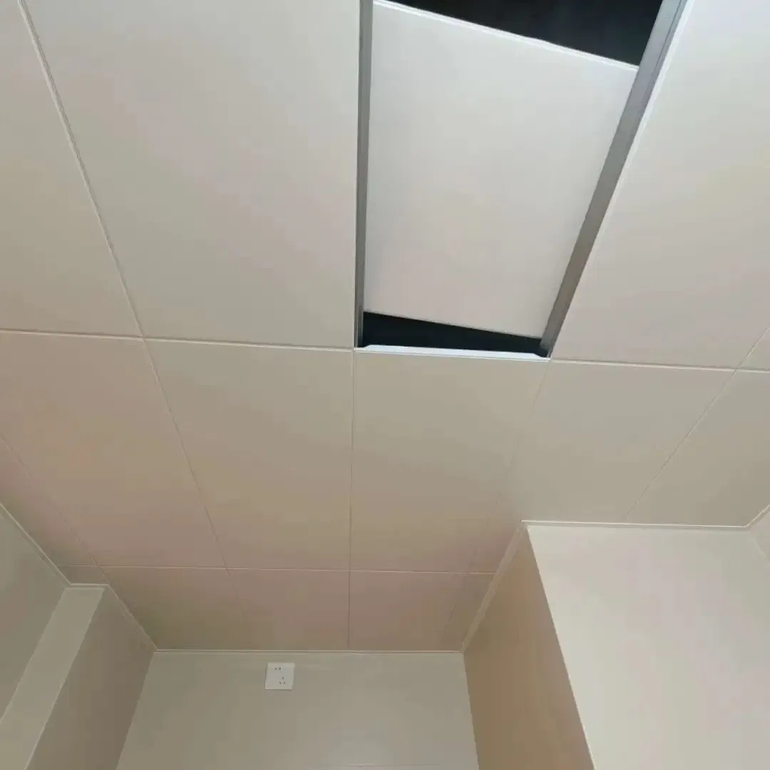 Unique Customized Aluminum Ceiling - Choose Between Plain and Perforated