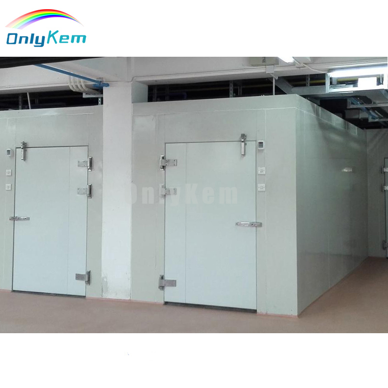 Cold Room Panel Cold Chamber Walk in Freezer for Meat