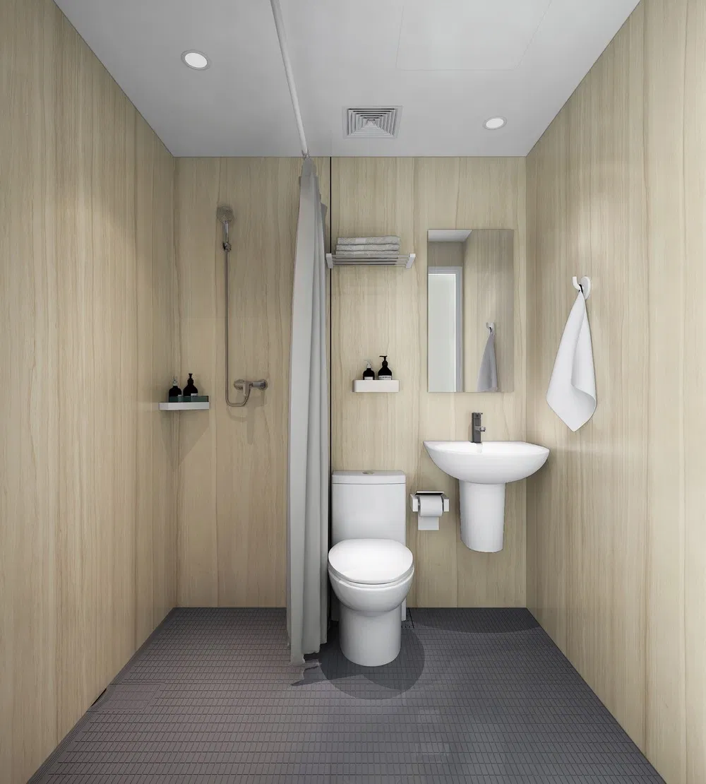 ISO9001 Quality Certificated Hubei Tongnai Optimized Space Layout for Small Homes Integrated Bathroom