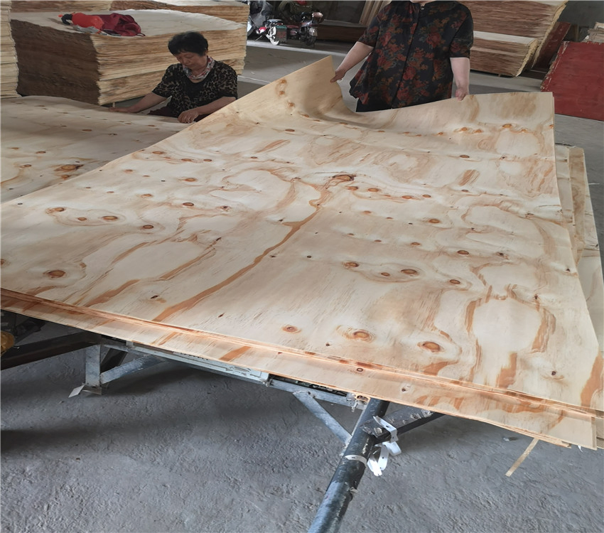 Natural Pine Wood Rotary Cut Type 2520*1270*2.2mm Pine Veneer for Plywood