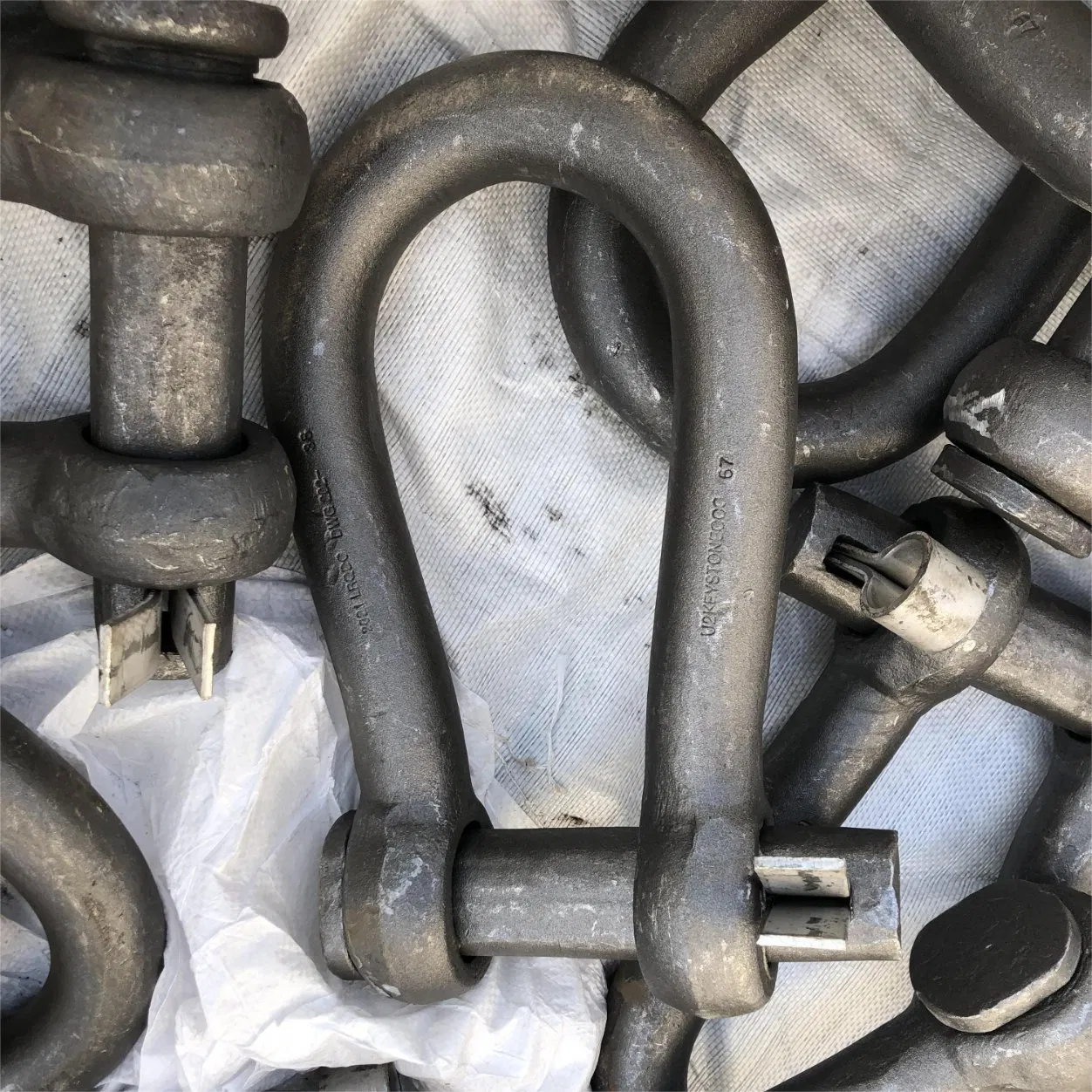 JIS Type Hot DIP Galvanized 3'' Dee Free Forged Shackle for Lifting