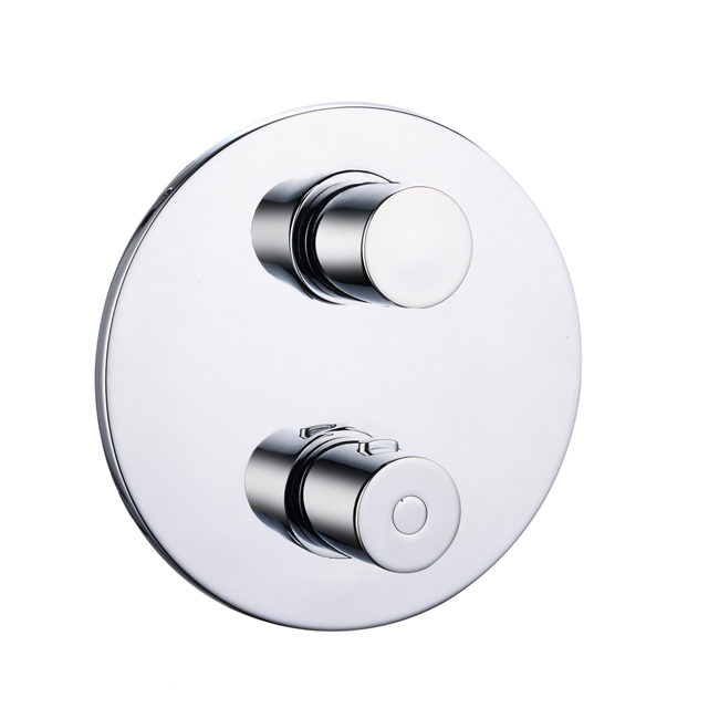 The Contracted Simple Design of Brass Polished Mounted Thermostatic Shower