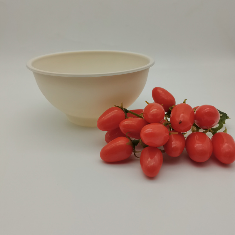 Compostable High-Quality Takeaway Bowl with Lid