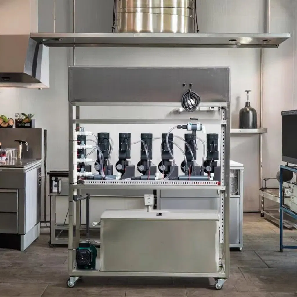 Specialized Laundry Dosing Systems Tailored for Commercial Laundry Services