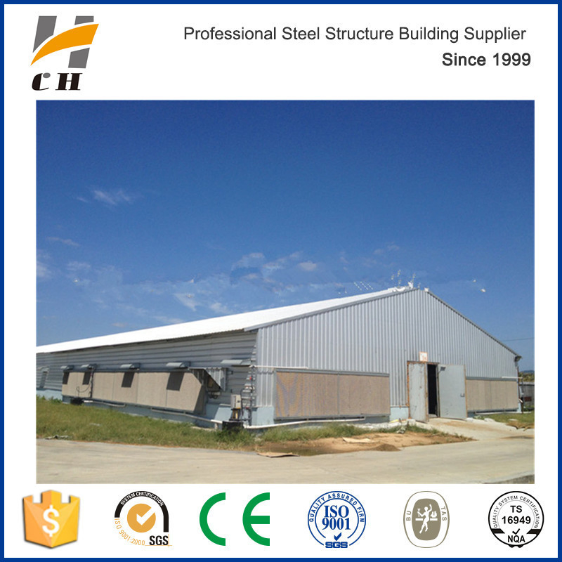 Light Shed Steel Roof Layer Chicken House Design