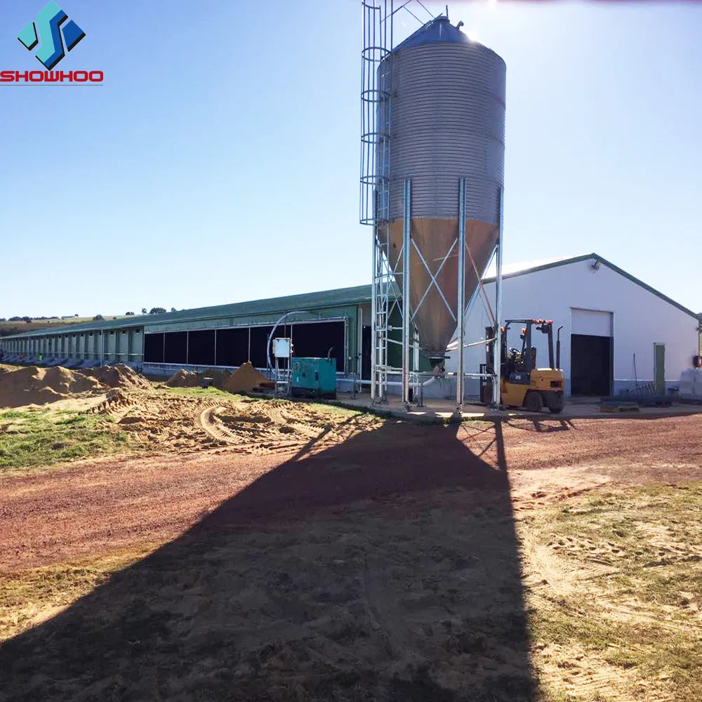 Steel Structure Poultry Farm House Chicken Shed Chicken Barn Construction