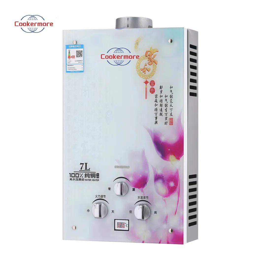 Wholesale Price Portable LPG Natural Domestic Home Propane Instant Hot Tankless Geyser Gas Water Heater for Outdoor Camping