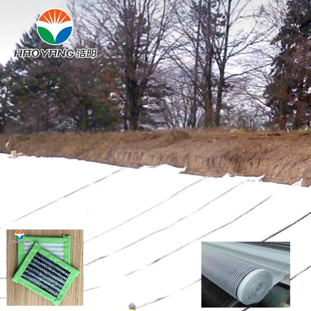 Light Weight Geosynthetic Clay Layer for Environmental Engineering