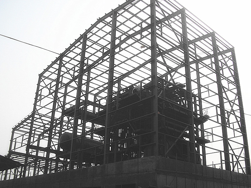 Professional Steel Shed / Storage / Steel Structure / Construction Building with CE Approved