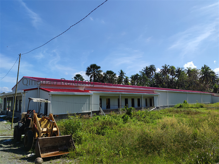 Durable and Cheap Chicken Farming for Eggs with Factory Design