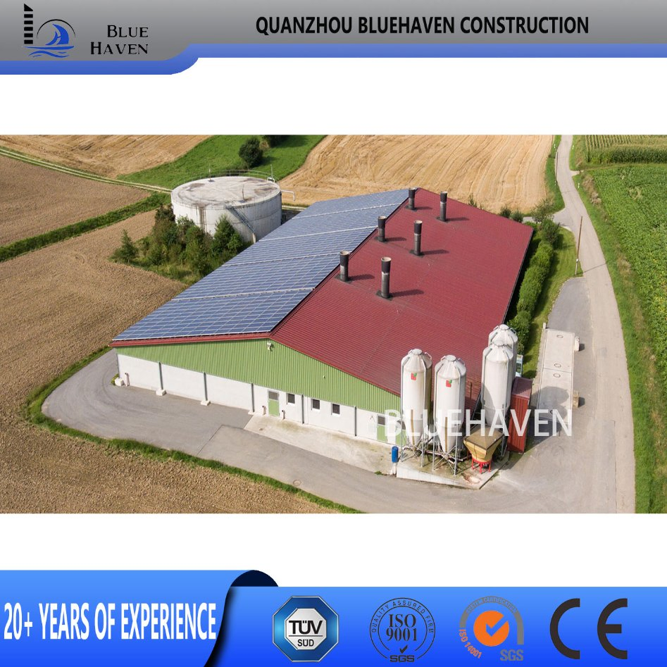 Steel Structure Frame Building Farm Cow Shed Chicken House Coop Poultry Farm