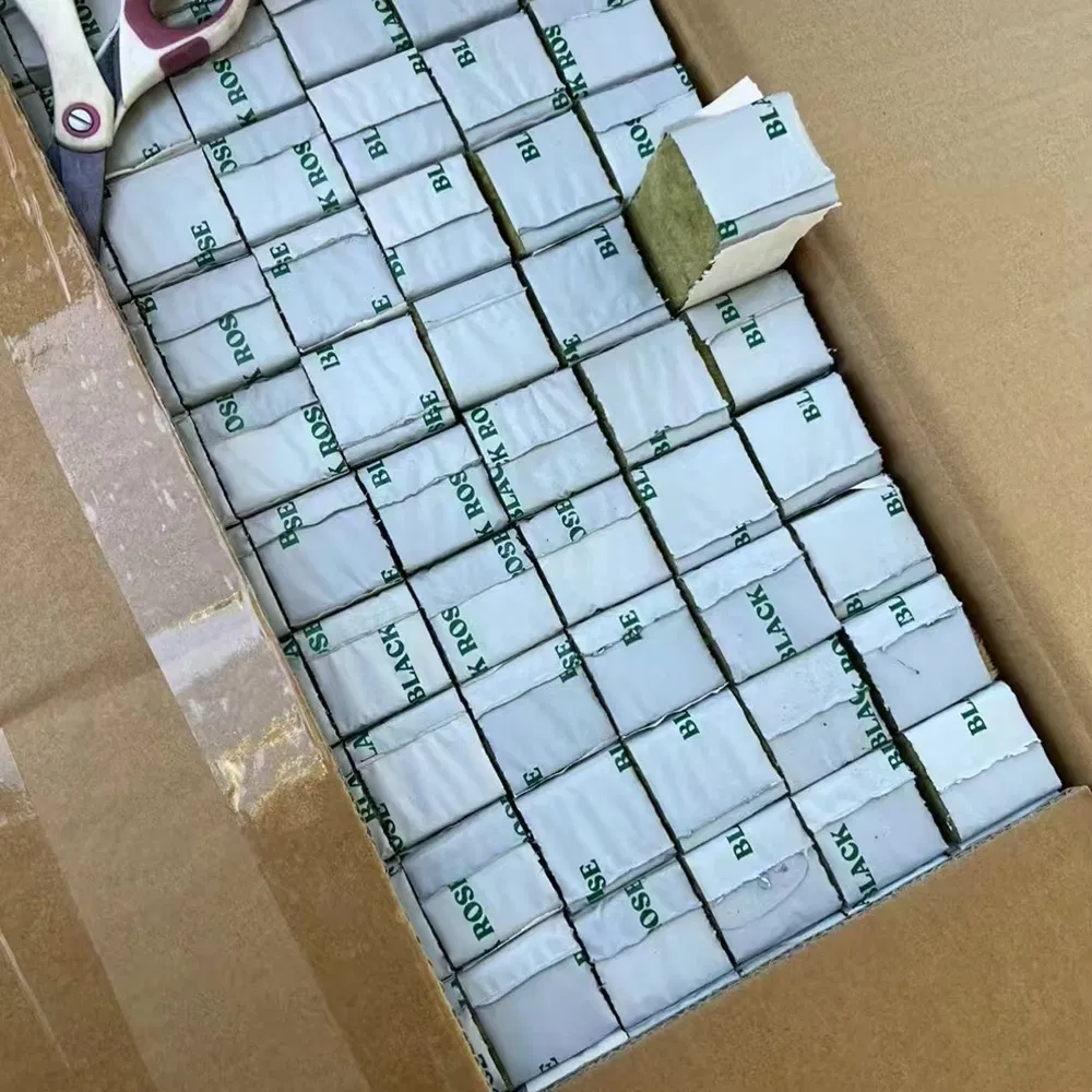 Plants Cloning Seed Growing Media Rock Wool Hydroponic Medium Grow Cube Plugs