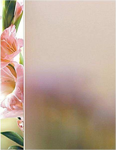 Satin Acid Etched Glass Partition for Stylish Interiors Customizable Frosted Shower Glass Customizable Frosted Shower Glass for Stylish Home Spaces