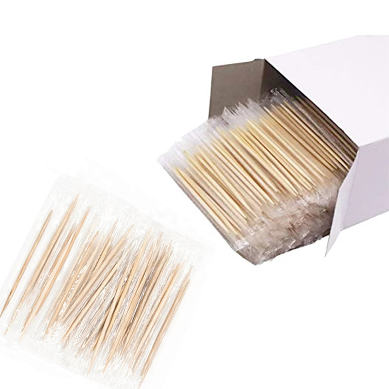 Toothpicks Box Small Portable Plastic Toothpick Holder