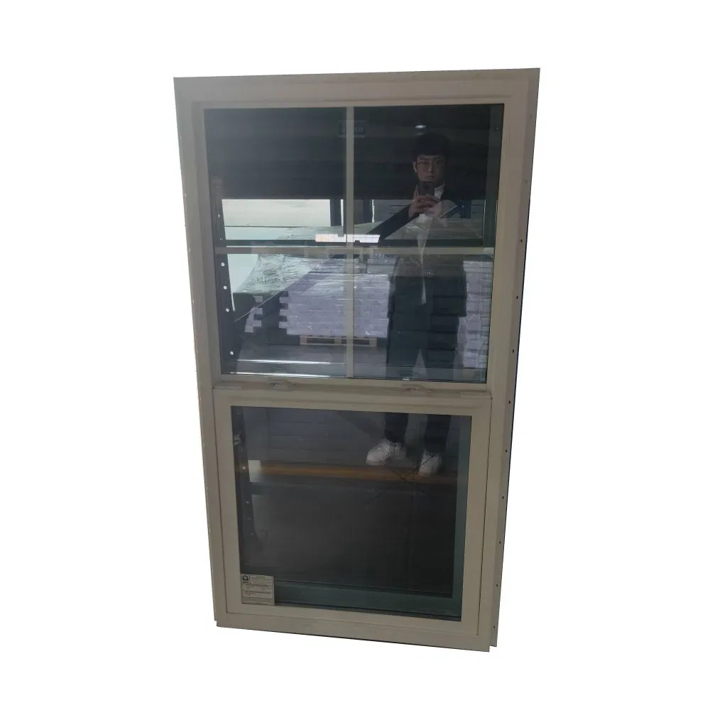 White PVC Plastic Vertical Sliding Twin Double/Single Hung Windows