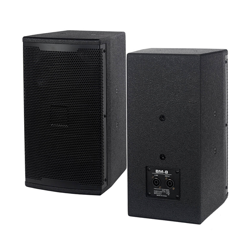 Tianlai Bm-8 8 Inch 120W Entertainment Speakers Wall Mounted Professional Audio Conference Speaker