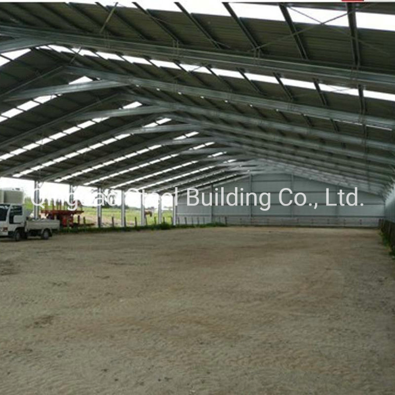 Prefabricated Steel Structure Building Steel Horse Riding Arena Equestrian Buidling