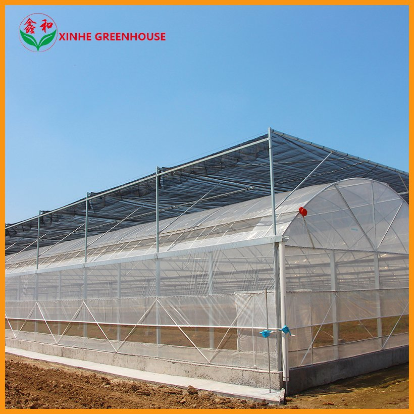 Farm Multi Span Garden Warm Agro Arch Type Vegetables Greenhouse for Agriculture