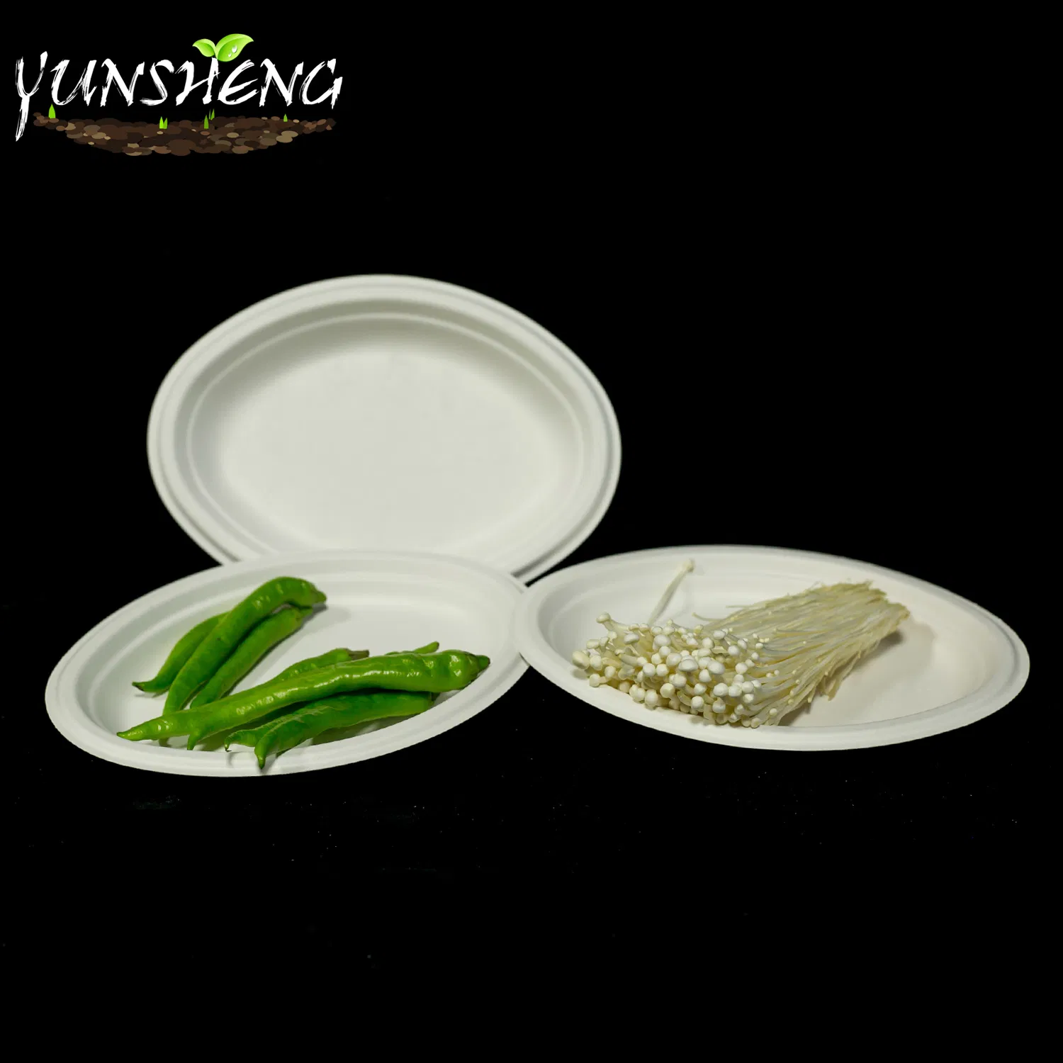 Environmentally Friendly Containers Biodegradable Fast Food Packaging