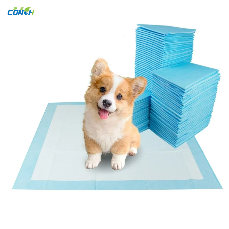 Best Sellers 2024 Pet PEE Pads Training Pad Disposable