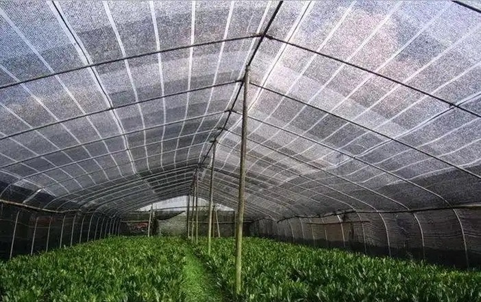 Tear Resistant Sunshade Mesh for Tent Side Panel