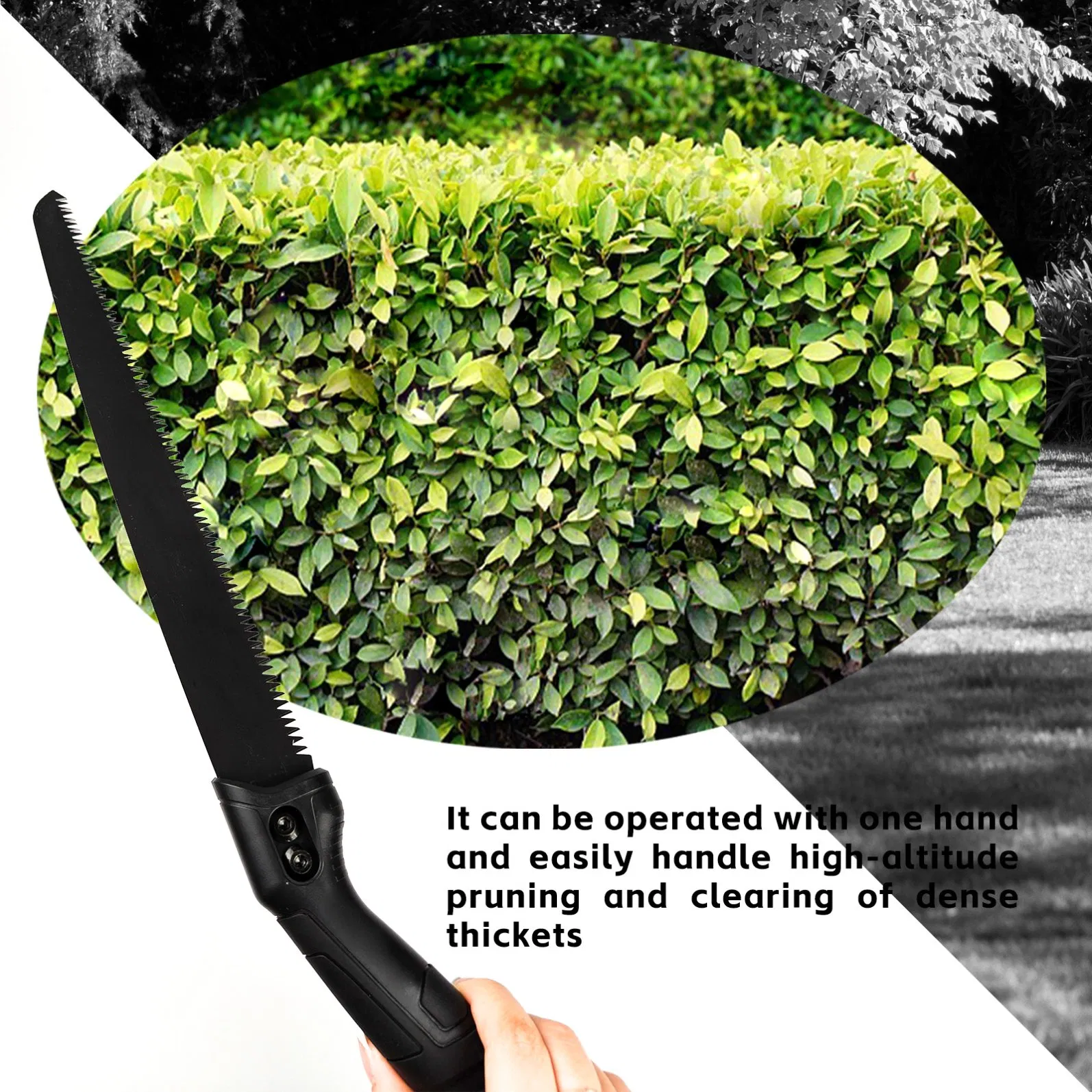 Two Types of Pruning Saws Folding and Regular