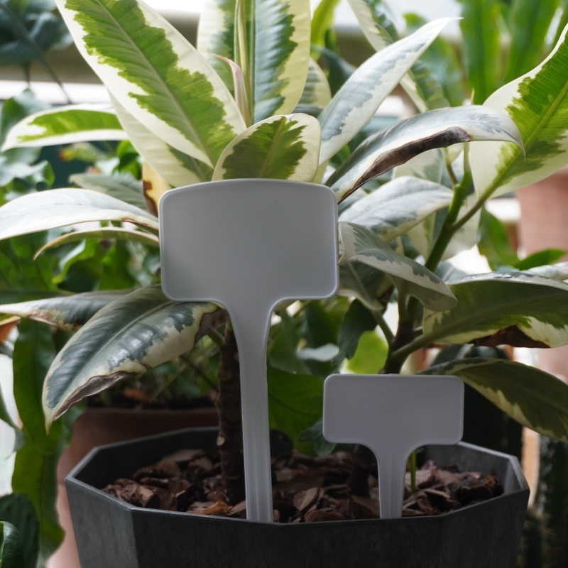 Weatherproof Plastic Garden Tags Reusable Plant Markers for Easy Plant Identification