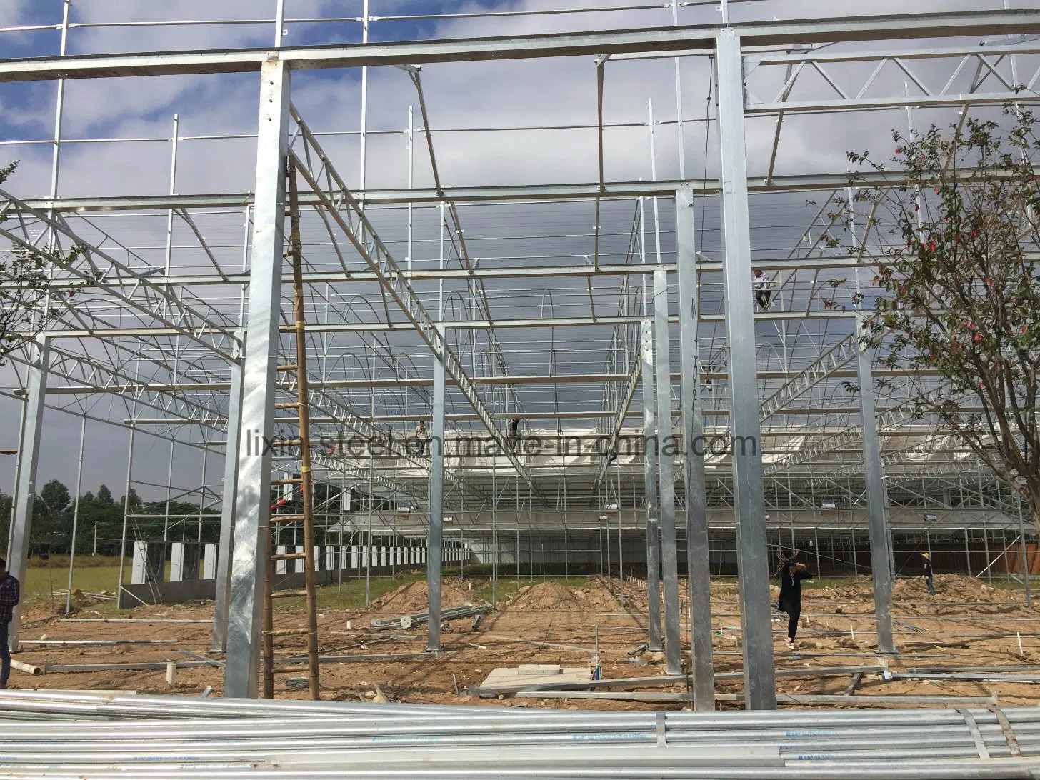 Prefabricated Flower Vegetable Steel Frame Green House Metal Garden Shed